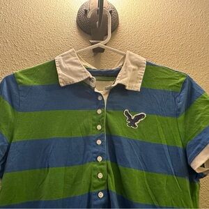American Eagle Outfitters Blue and Green Striped Polo